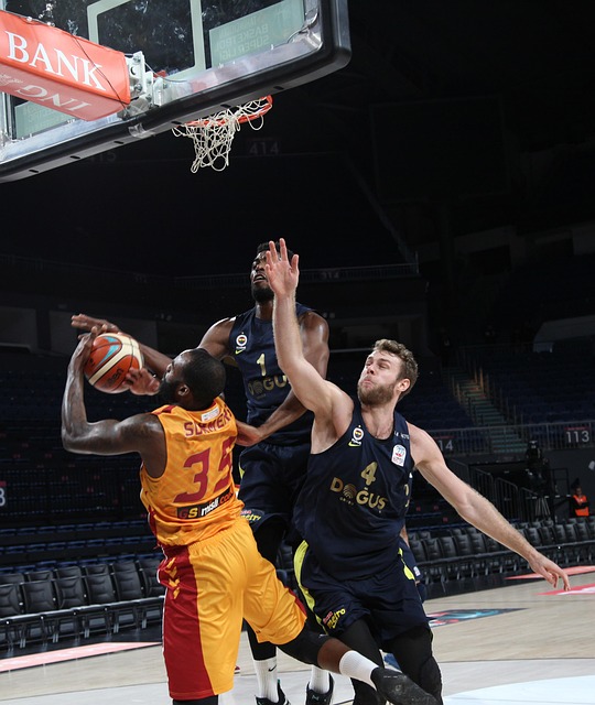 至关重要的 至关重要的